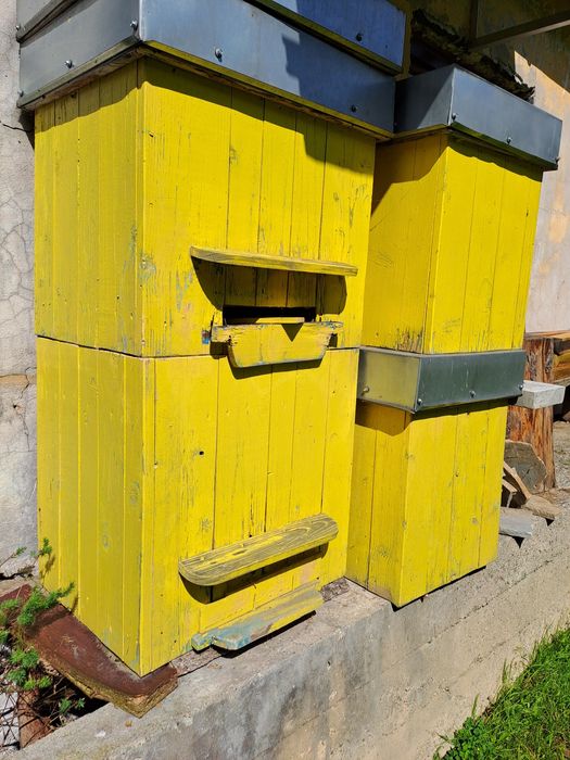 Ule warszawskie poszerzane