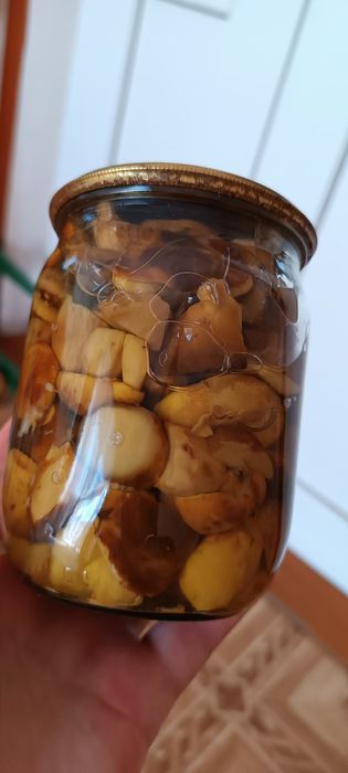 Гриби мариновані, домашні, польські,маслюки. Врожай 2025 р.