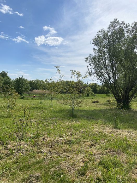 Земля під будівництво