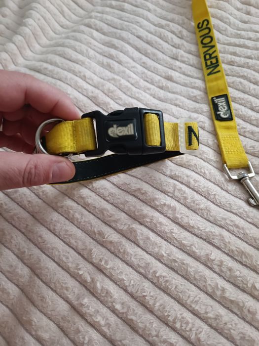 Проводок с ошейником DEXIL Nervous