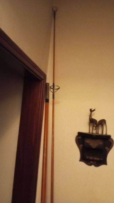 Cana de pesca sportex