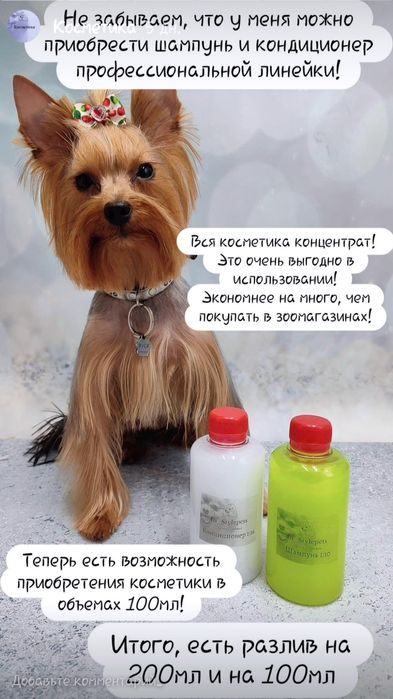 Работаю и без света!!! Стрижки котов и собак, чистка зубов ультразвуко