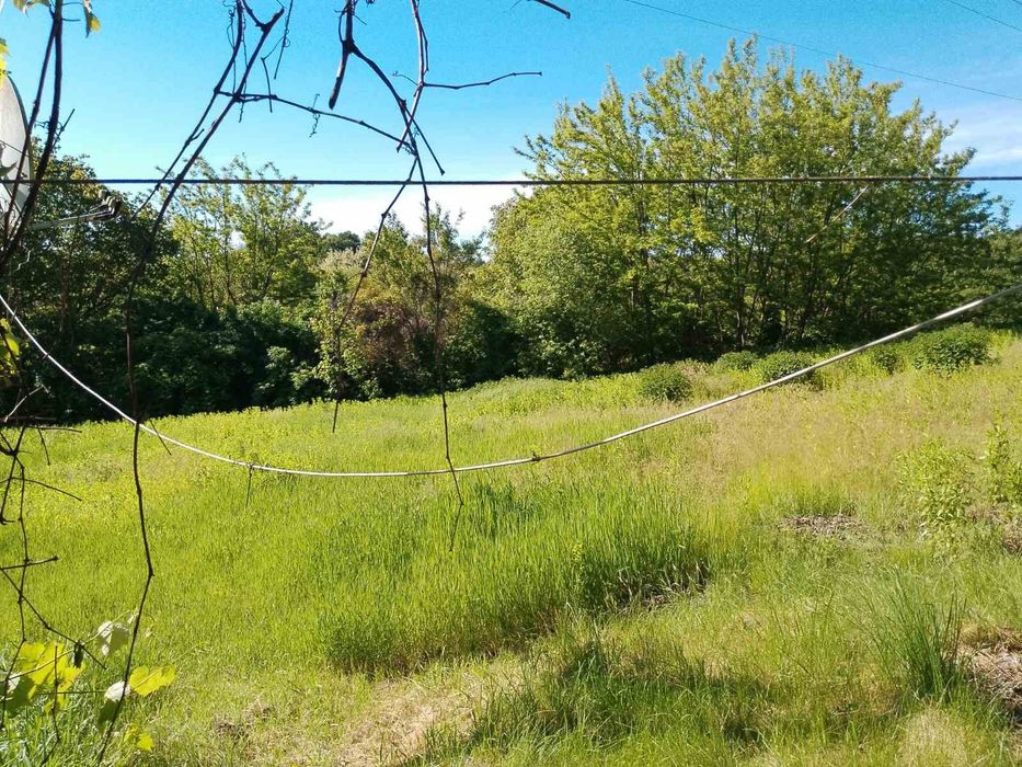 Продаж будинку село Голяки Канівського району Черкаської області