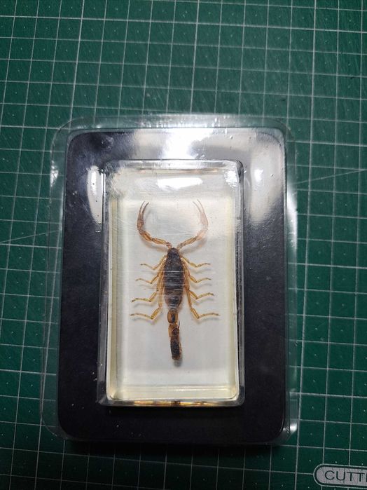 Escorpiões em resina embalados.