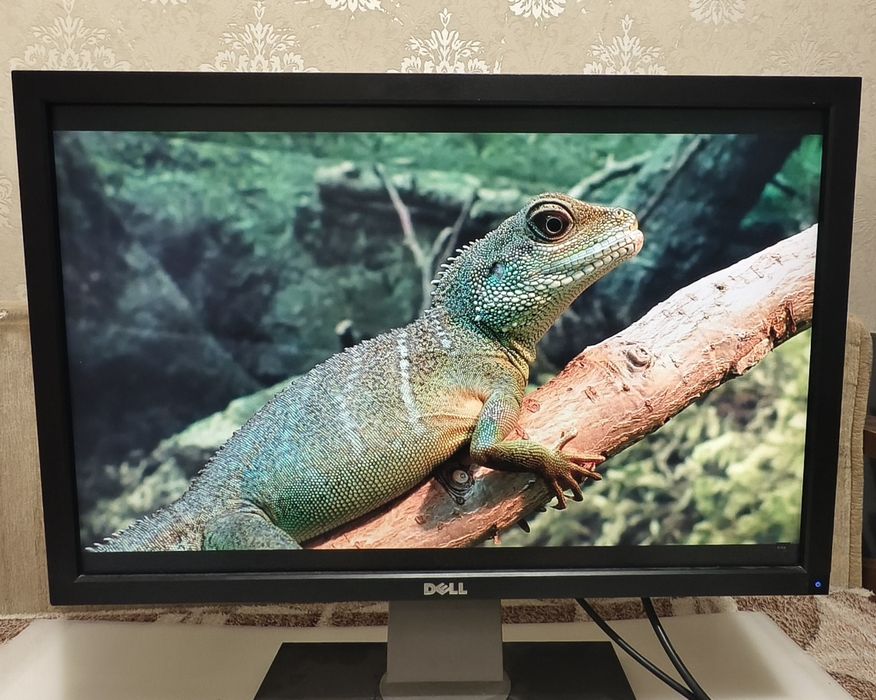 монітор Dell UltraSharp U2410F 24 IPS WUXGA