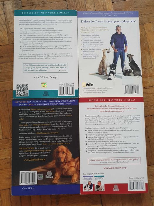 SUPER STAN Cesar Millan, Jak Zostać/Jak Uszczęślowic/Zaklinacz