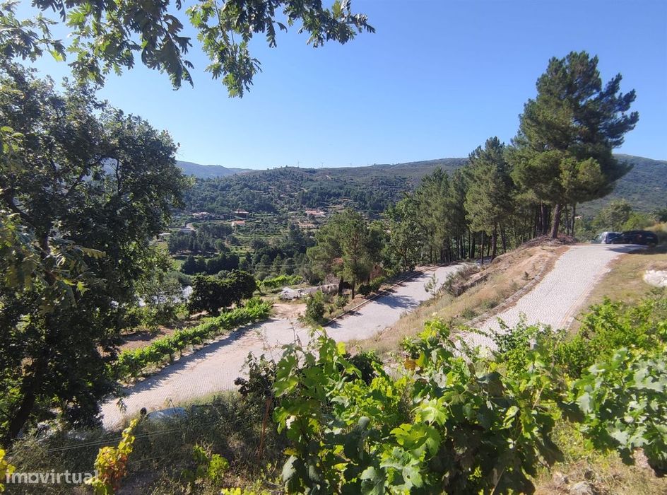 Quinta  Venda em Vela,Guarda
