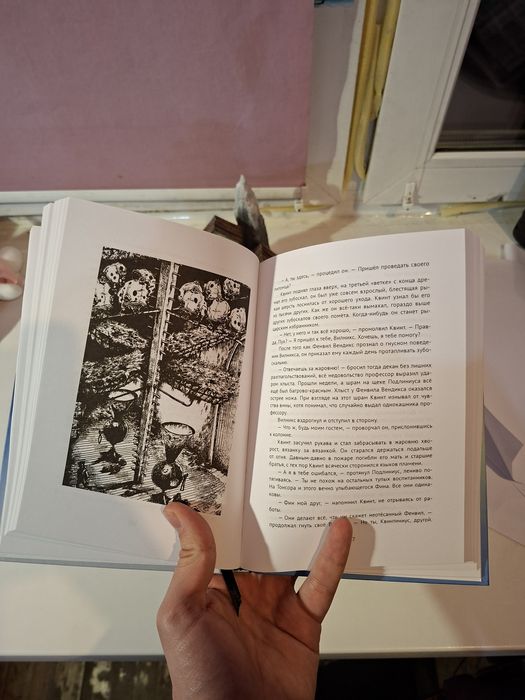 Книги Воздушные пираты Пол Стюарт,  Крис Риддел