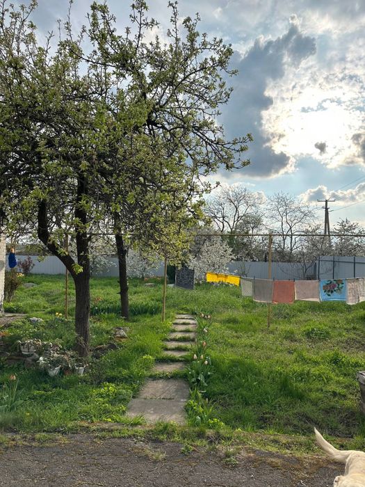 Будинок село Веселе.