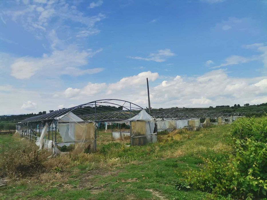 Estufas Agrícolas