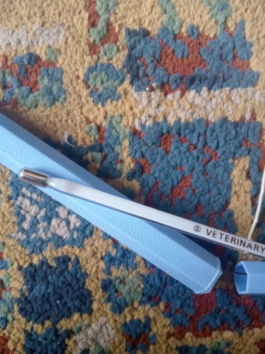 Retro vintage termometr weterynarii