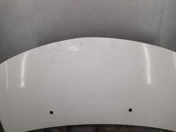 Capot RENAULT Clio III (BR0/1, CR0/1)