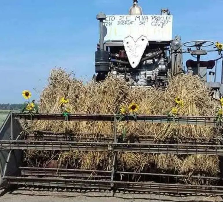 Vistula Kzb-3b używana