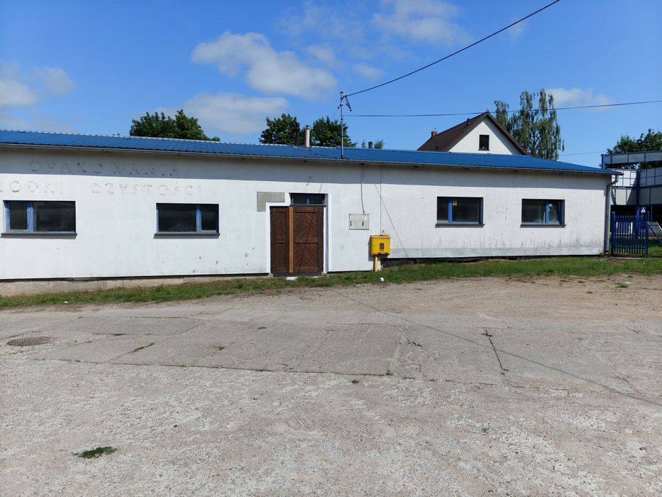 Zdjęcie 6