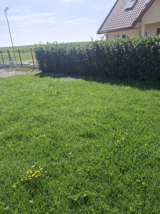Wynajmę działkę w Środzie Śląskiej - Widok 3