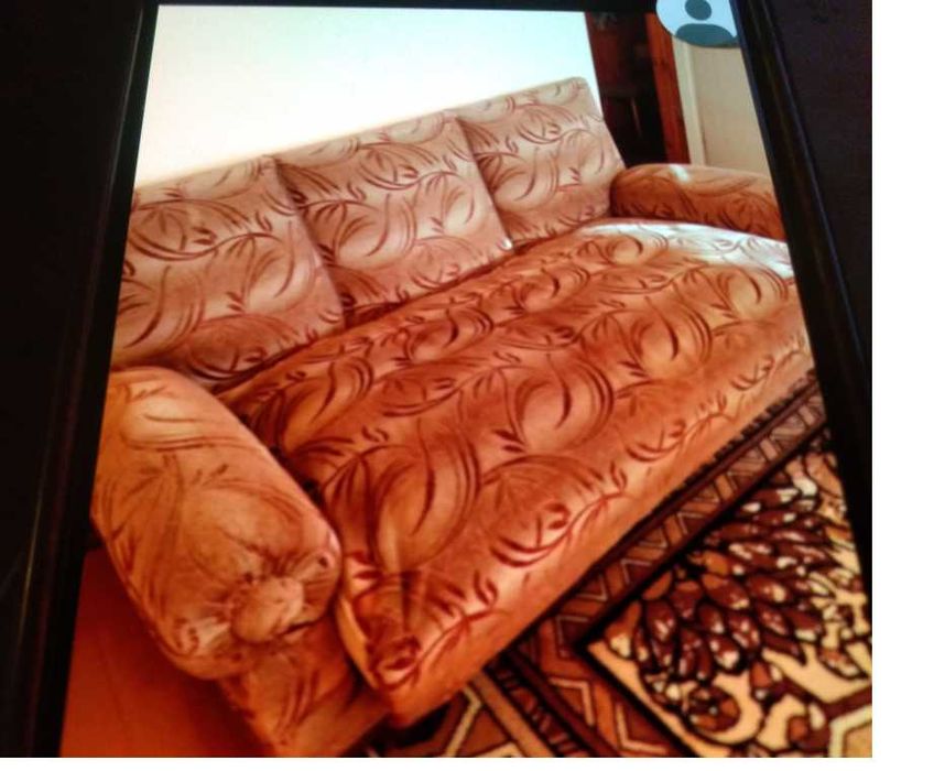 SOFA , kanapa do salonu , ponad 100 letnia
