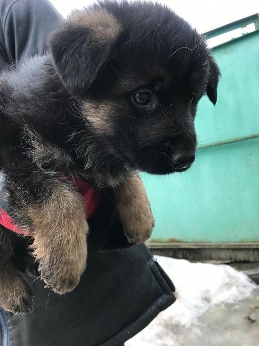 Акція - розпродаж!