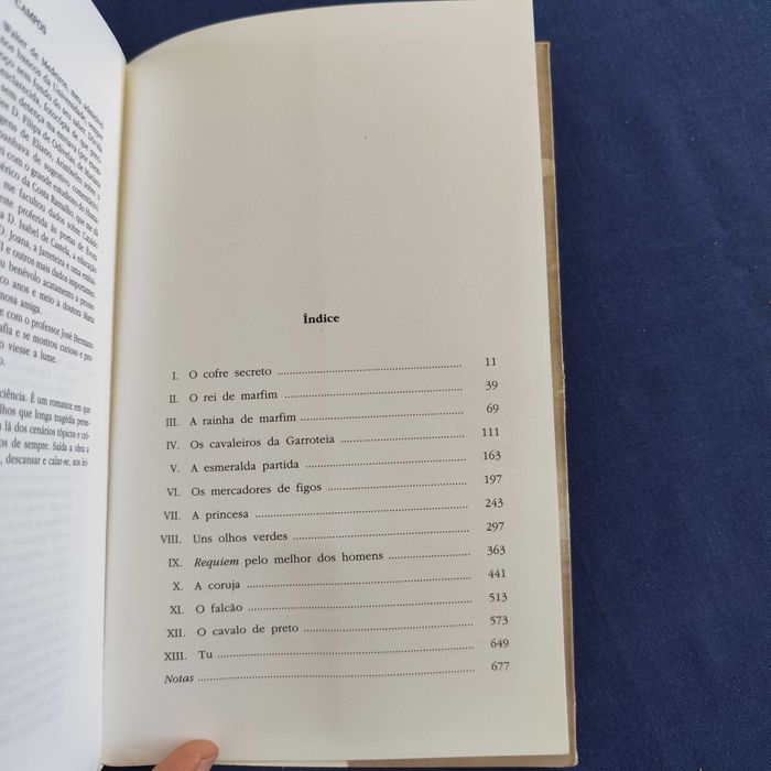 Fernando Campos - A Esmeralda Partida