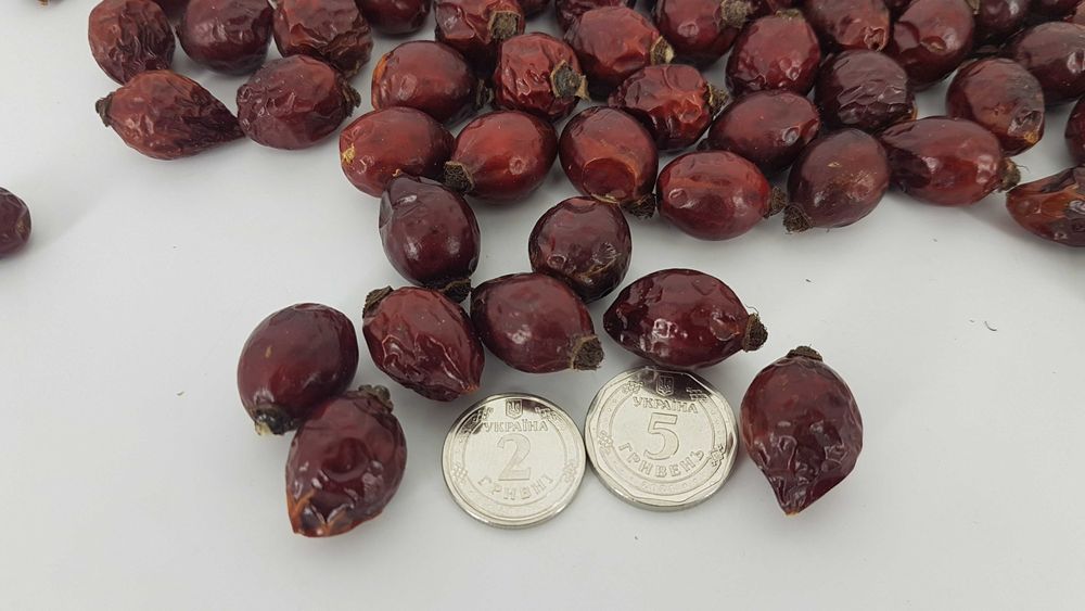 Шиповник отборной, крупный, сушеный, 2025