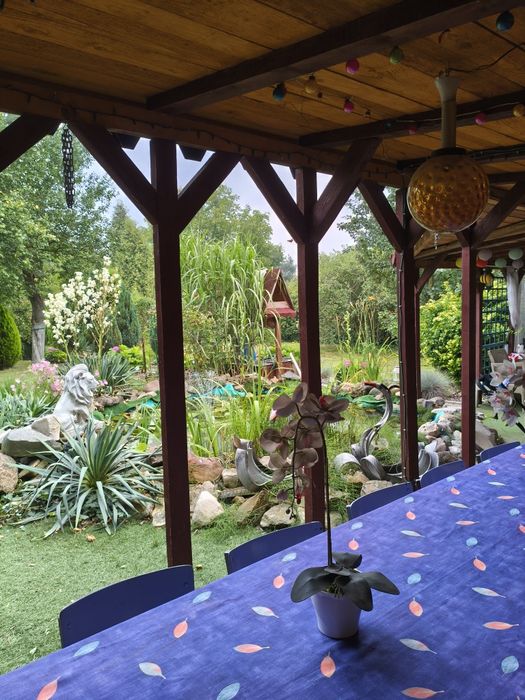 Nowa cena Noworoczna !Ogródek działkowy 503m2