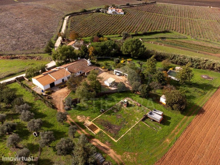 Quinta com 5,9 ha a 3 km de Borba - Tranquilidade, Privacidade e Po...