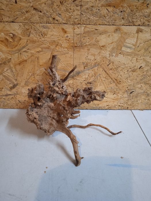 Korzeń do akwarium Red Moore Wood nr 162 o wymiarach 21/12/24