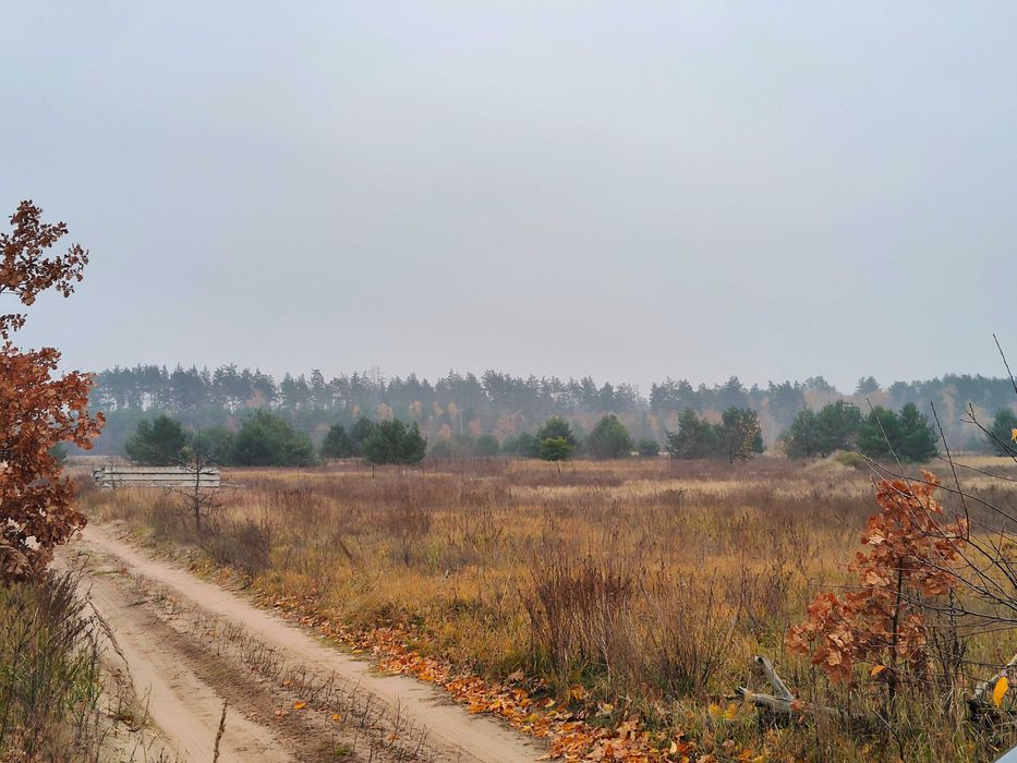 Ділянка 15 сот під забудову в найкращій локації під лісом | Дмитрівка