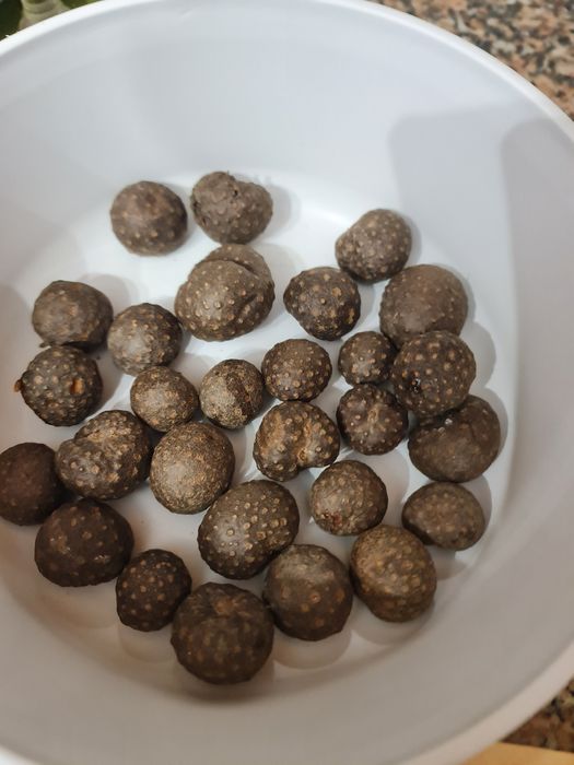 "Cara insulina" biologica, controlo no diabetes