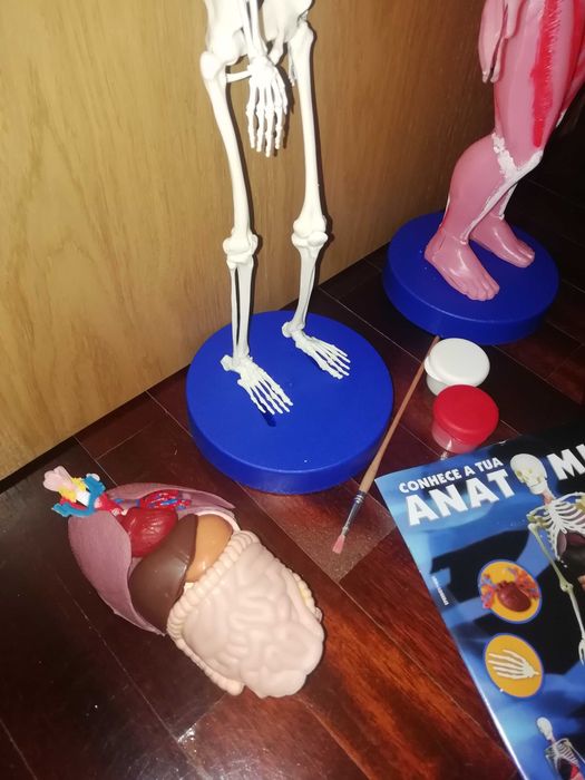 Jogos Didáticos para várias Idades