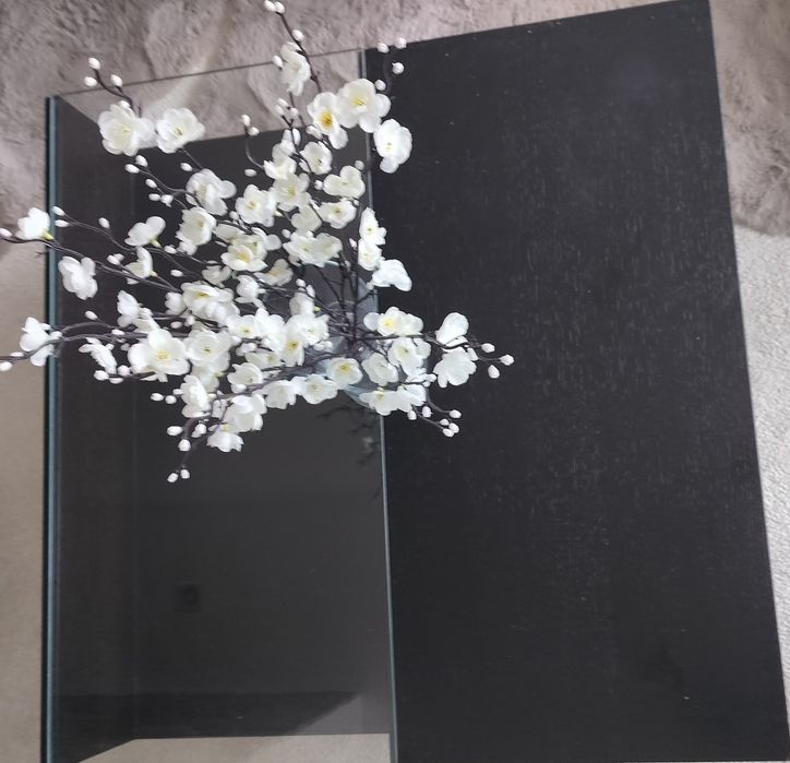 Mesa de centro , wengue