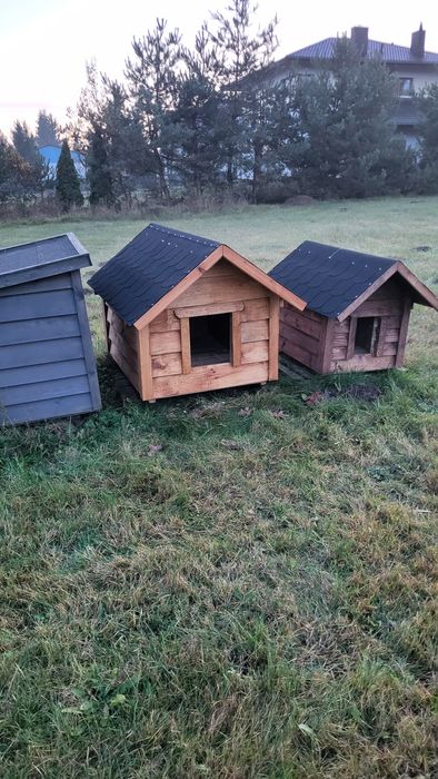 Buda dla psa duża xxl owczarek niemiecki