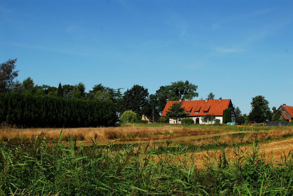 Dzialka na sprzedaz (posiada warunki zabudowy) -spokojna okolica na Warmii - Widok 3