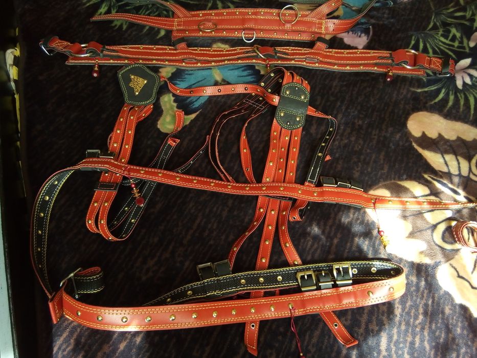 Упряж Виготовлення упряжі , посторонки вожжи віжки ліци шлея шорка .