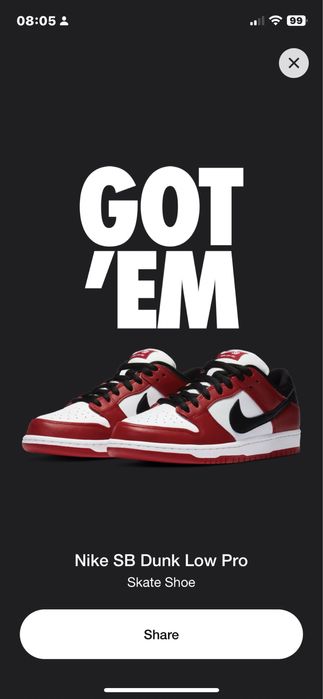 Nike Chicago Dunk Low SB