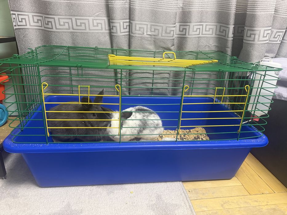 Продам большую клетку, можно использовать для кроликов или других грыз