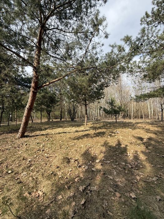 Продаж земельних ділянок с.Бірки