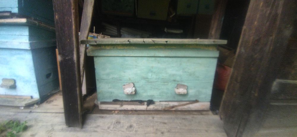 Вулик, пасіка продам