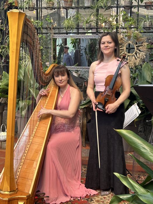 арфа. арфистка, Музыка на свадьбе.