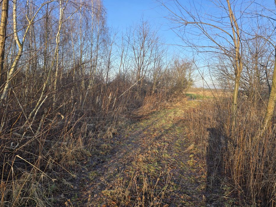 Grunt inwestycyjno-mieszkaniowy 2,55 ha | MPZP | DK5 / S5 | Wszemirów