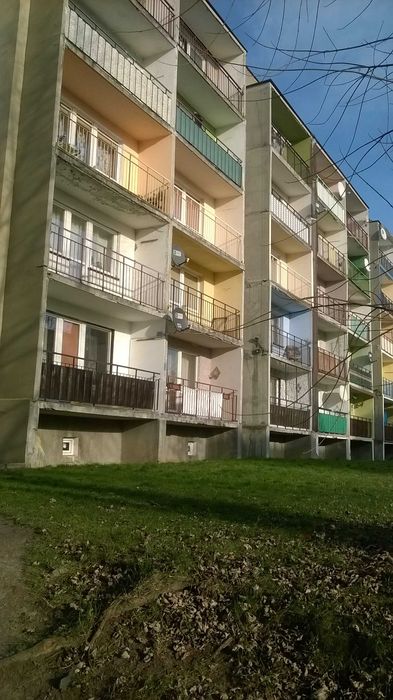 Zdjęcie 7