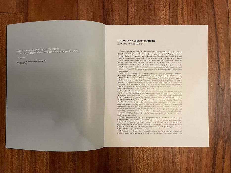 Alberto Carneiro - Manifestos: Antologia Breve