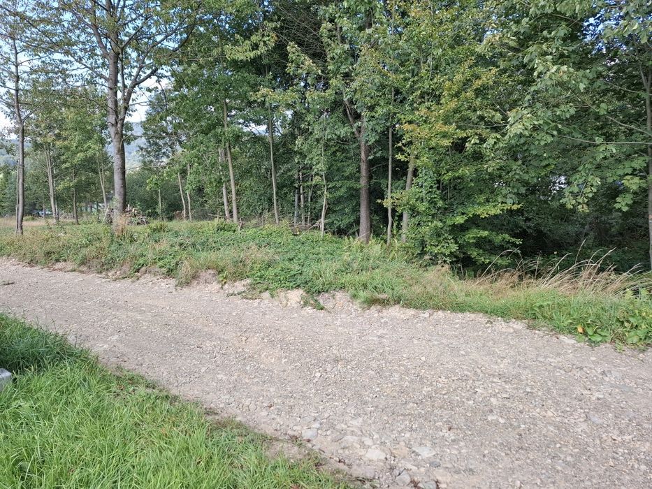 Działka w Wysowej- Zdroju