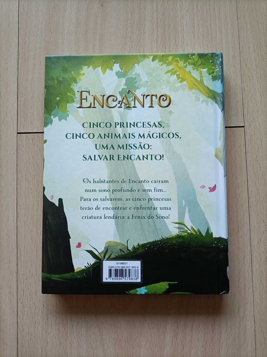 Livro-aos guardiãs dos sonhos