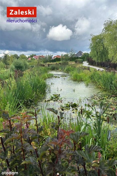 Top Oferta! Nowe/Taras od południa/Widok na park