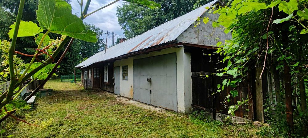 Dom przy lesie | 10a | Borzęcin | ogłoszenie prywatne - Widok 4