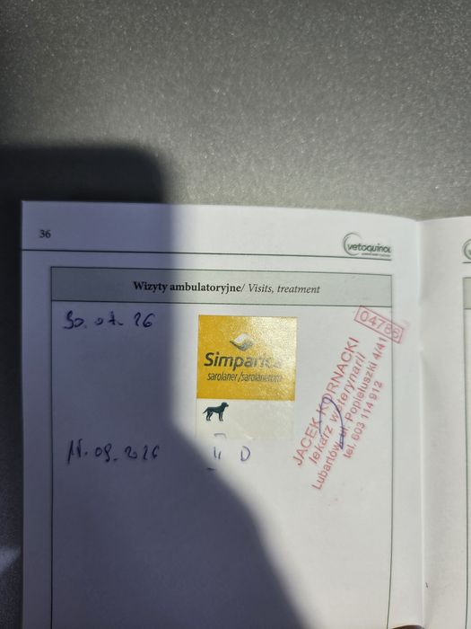 Oddam Psa Owczarka Niemieckiego Lubartów • OLX.pl