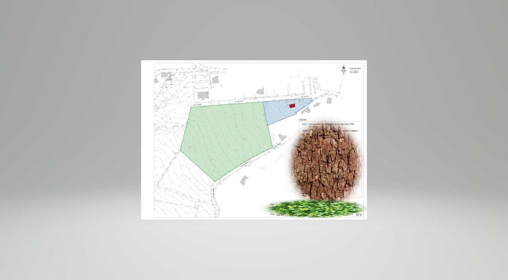 Terreno rústico para lotear