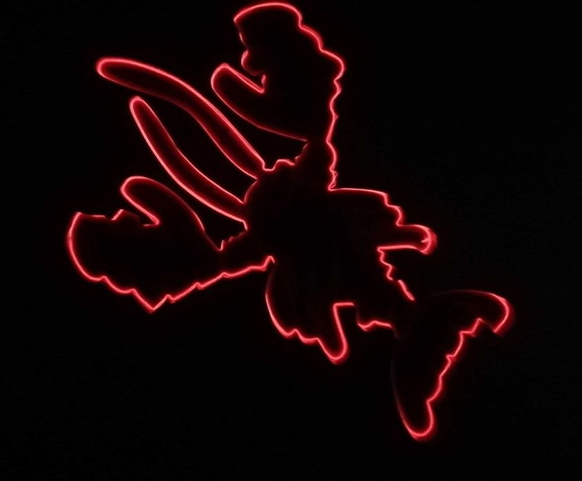 Fantástico! Lavagante de Publicidade com Luz Led!