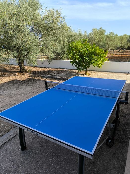 Vendo mesa Ténis de Mesa Cornilleau 300