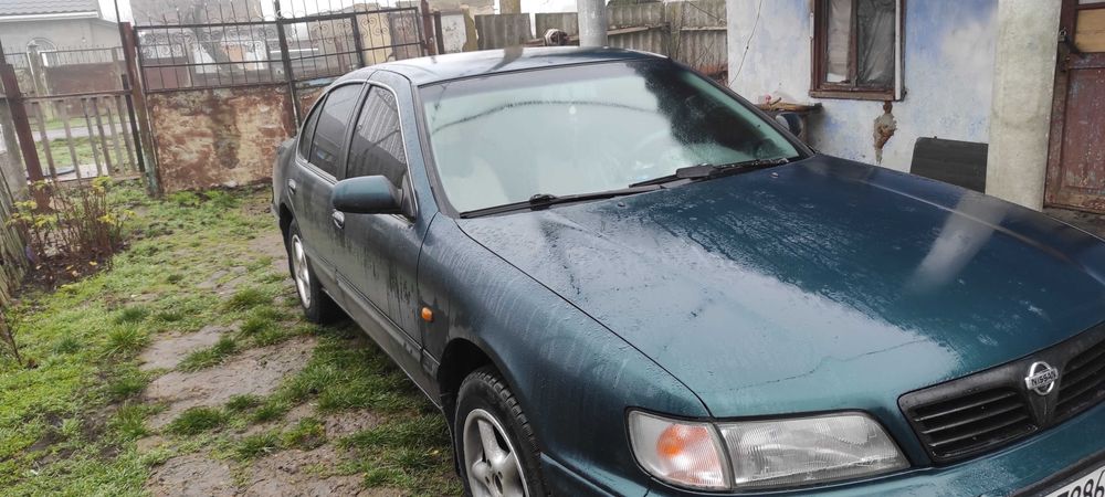 Продам максиму в нормальном состоянии